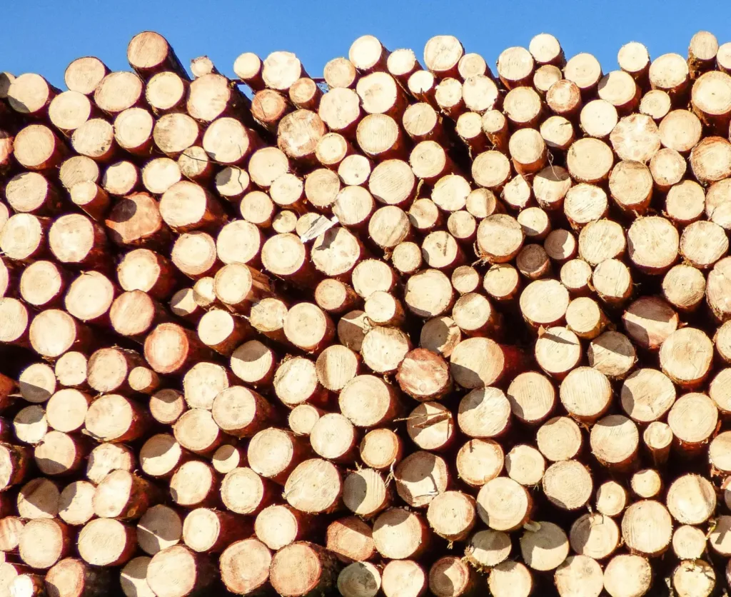 En stor trave med obearbetat virke